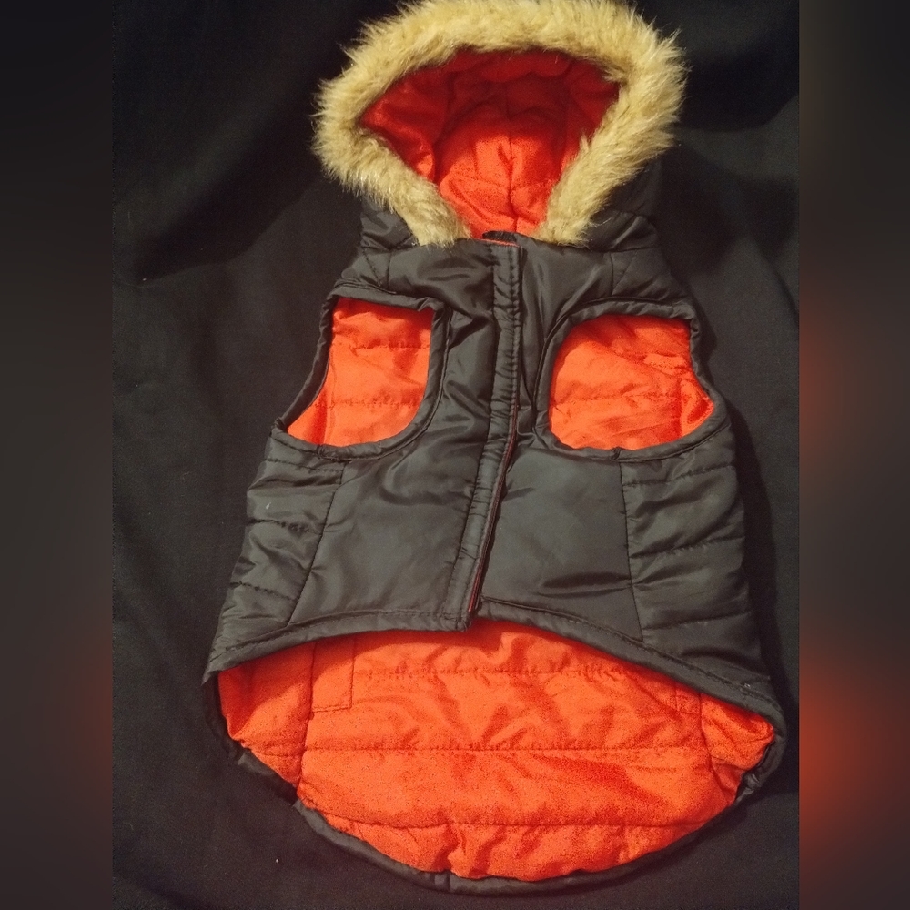 Doggie vest